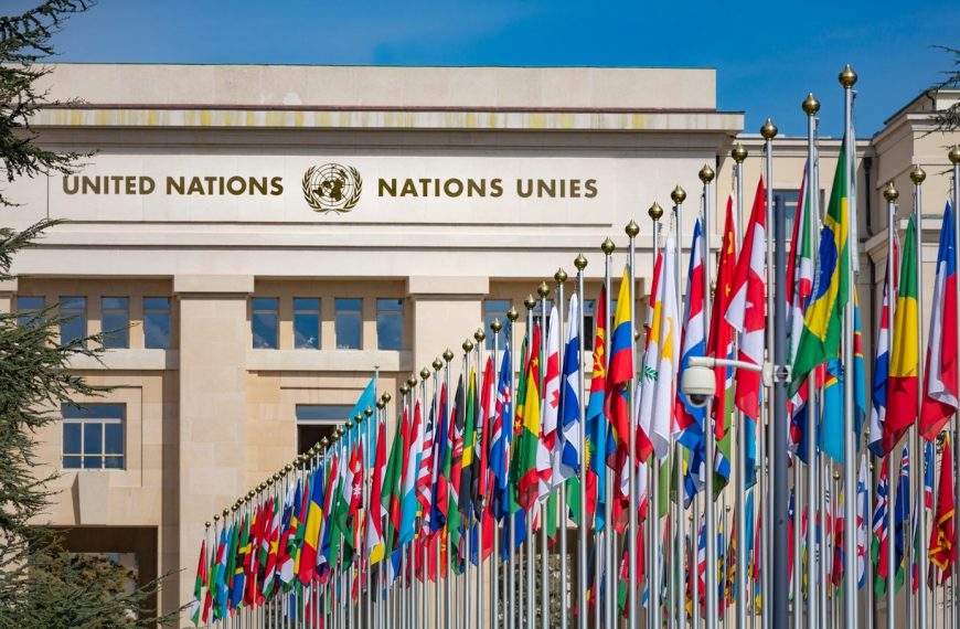 Image des Nations Unies pour représenter la catégorie International.